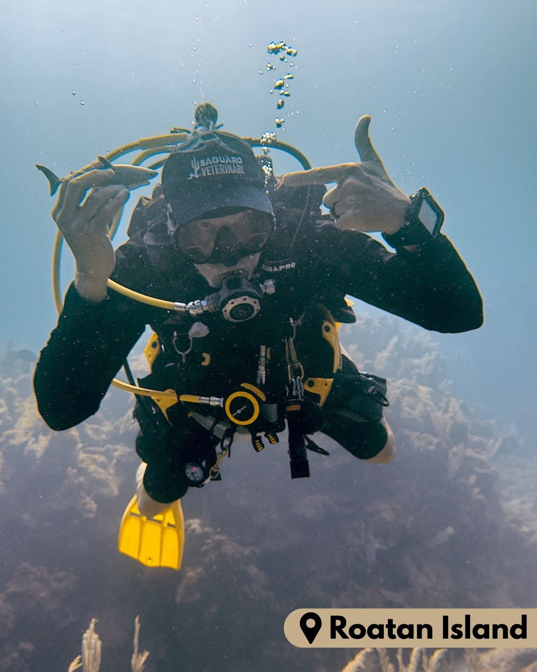 Roatan Island Scuba Diving