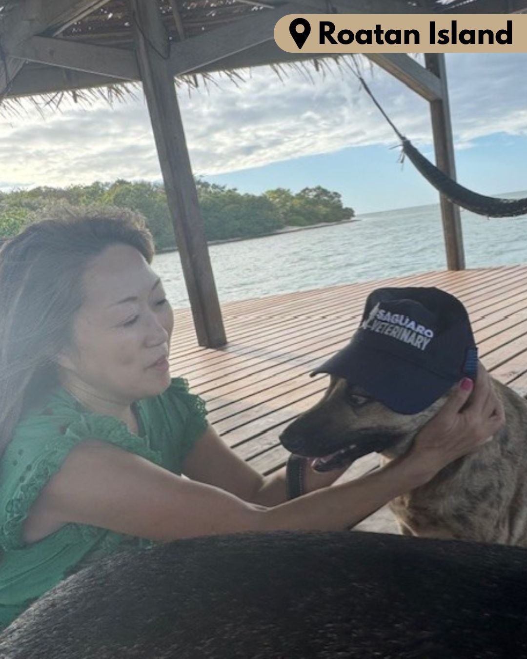 Dog Wearing Saguaro Vet Hat At Roatan Island