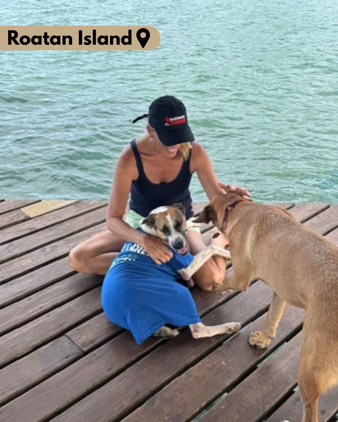 Woman on dock with two dogs on Roatan Island. 