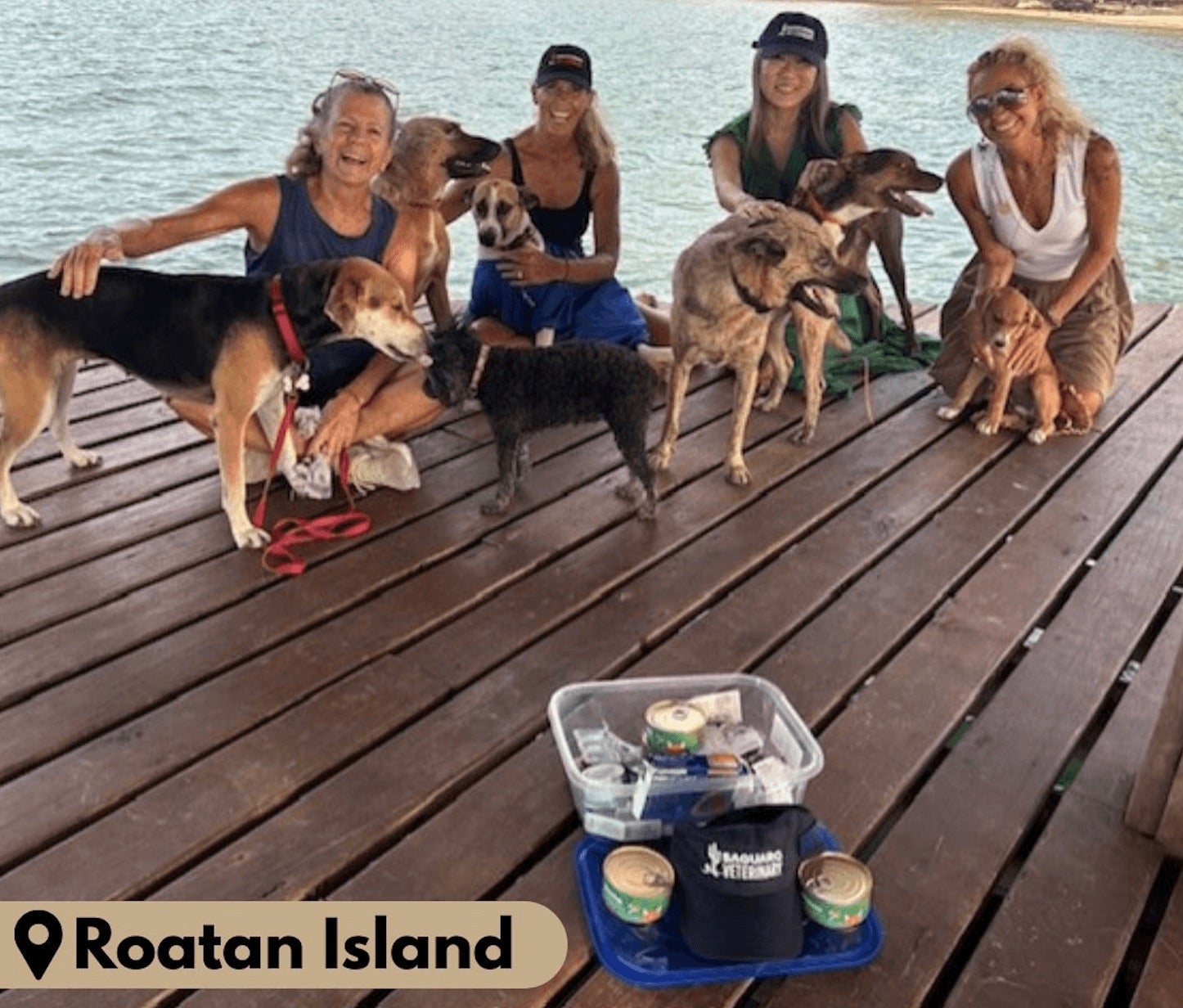 Rescue Dogs at Roatan