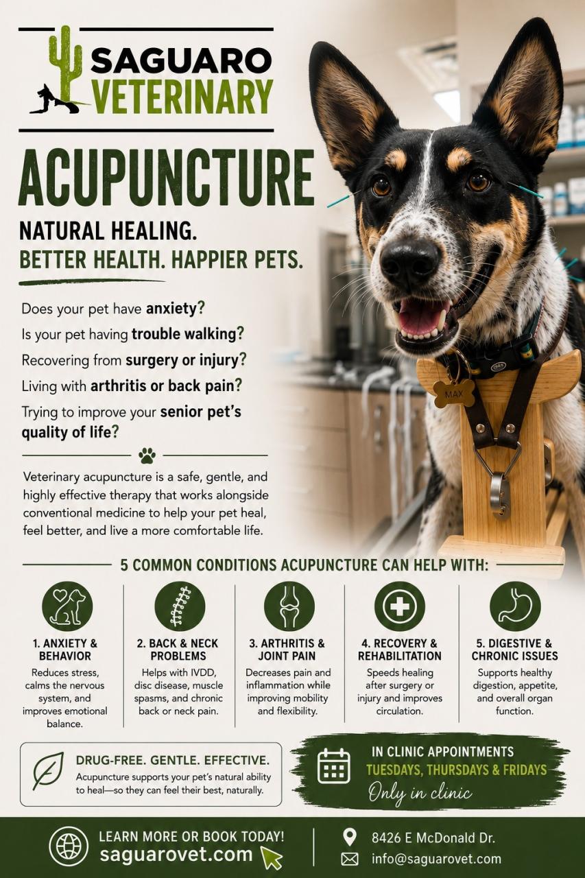 An advertisement for acupuncture