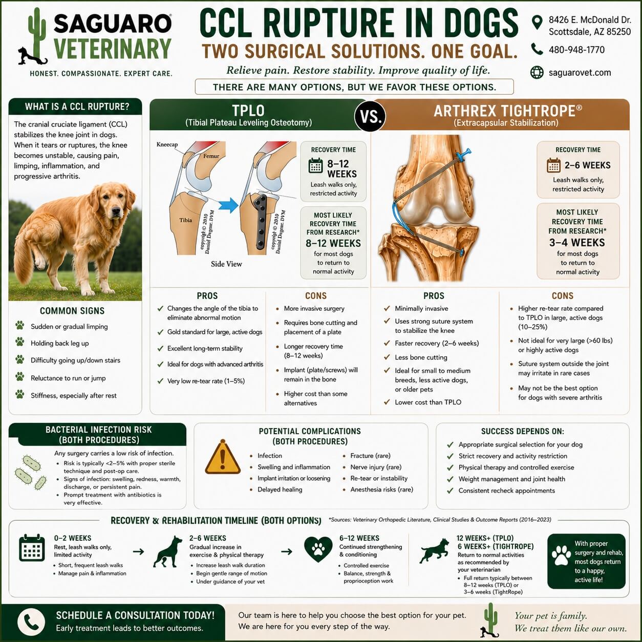 Graphic on CCL ruptures