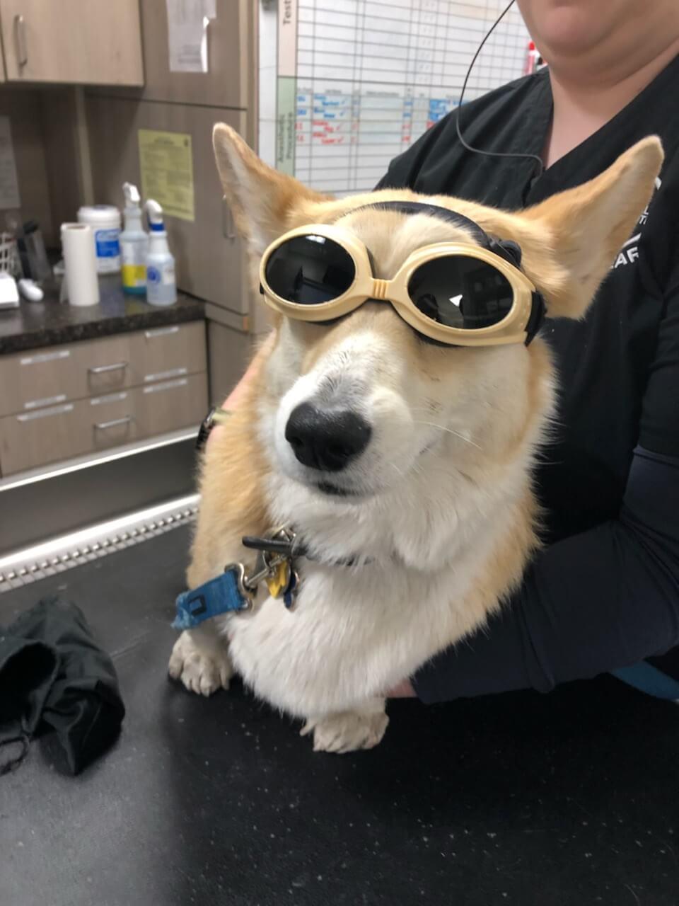 Laser Therapy