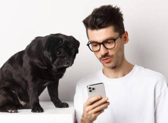 Veterinary Big Box and Online Pricing: Why is My Veterinarian Always More Expensive?