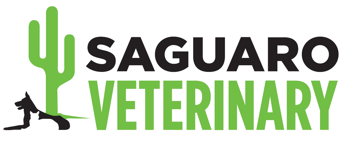 Saguaro Veterinary